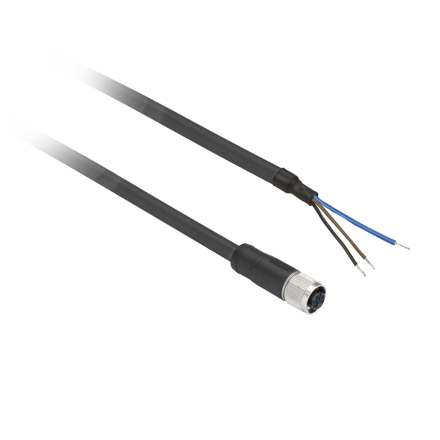 CABO COM CONECTOR M8 RETO 3 PINOS 2 M - XZCP0566L2