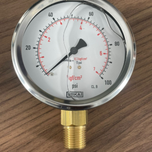Manômetro 113.53.100L 100PSi x KGF